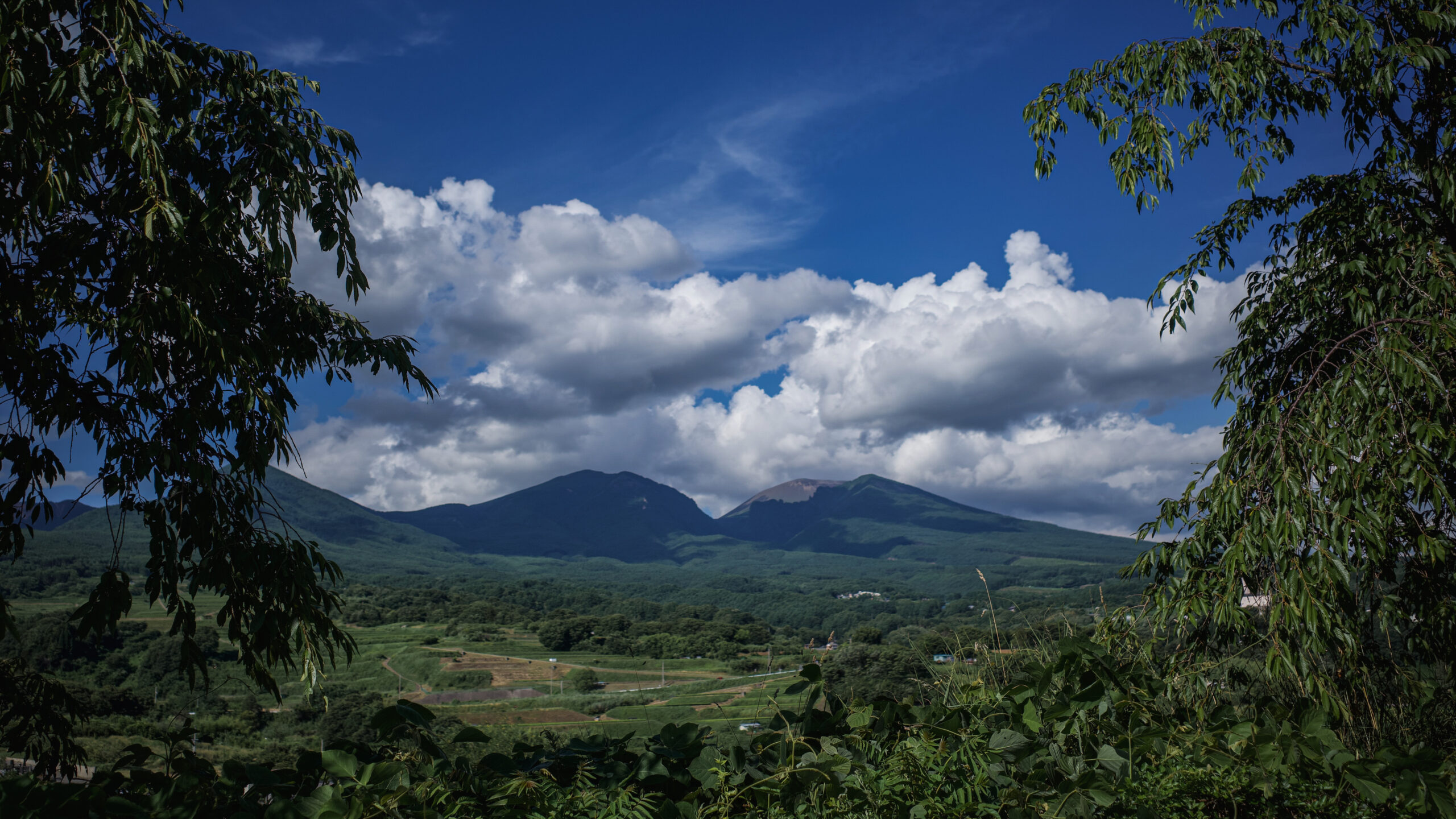 小諸高原美術館から見た夏の浅間山2025